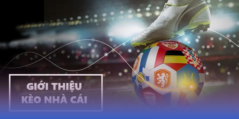 Cập nhật các trang kèo nhà cái uy tín mới nhất giúp bạn lựa chọn chính xác