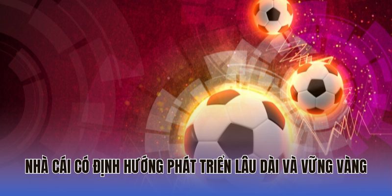 Nhà cái có định hướng phát triển lâu dài và vững vàng