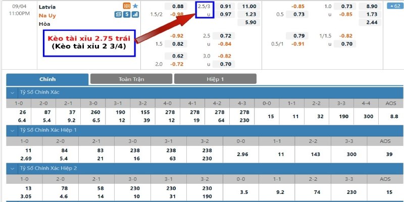 Hiểu rõ cách đọc tỷ lệ odds và tính tiền